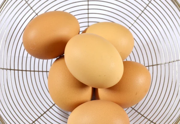 Huevos en el tamiz —  Fotos de Stock
