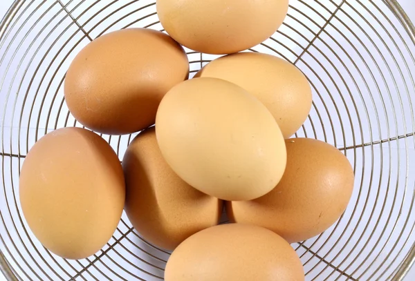 Eggs on sieve — Stok fotoğraf