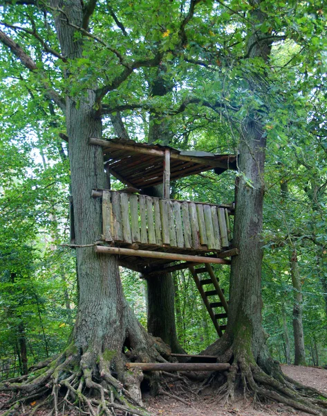 ağaç evi - baumhaus