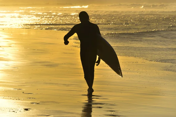 stock image Surfer