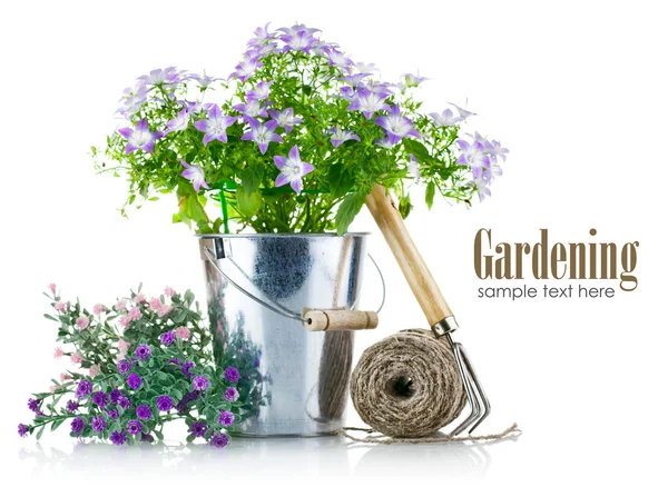 Maszyny ogrodnicze, kwiaty fioletowe i zielone liście — Zdjęcie stockowe