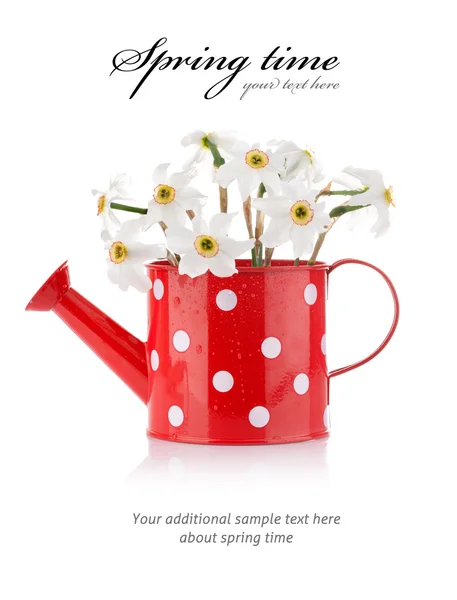 Białe wiosenne kwiaty w wazon czerwony — Zdjęcie stockowe
