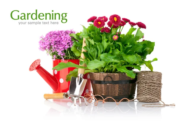 Flores de primavera com ferramentas de jardim — Fotografia de Stock