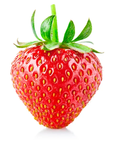 Strawberry berry with green leaf — Stock Photo, Image