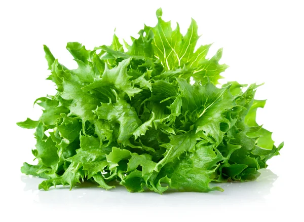 Grüne Blätter Salat — Stockfoto