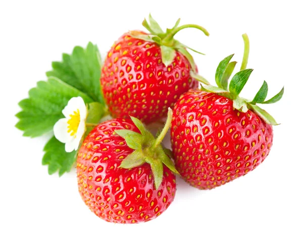 Strawberry berry with green leaf and flower — Stock Photo, Image