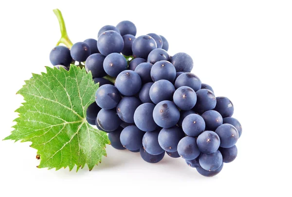 Blå druvor med grönt blad — Stockfoto