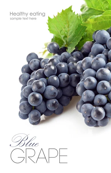 stock image Blue grapes with green leaf