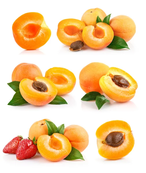 Set apricot fruits with green leaf — Stock Photo, Image