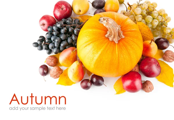 Herbstliche Früchte mit gelben Blättern — Stockfoto