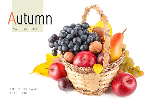Jesiennych owoców w koszu — Zdjęcie stockowe