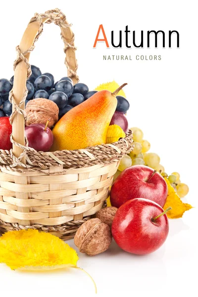 Outonais frutas na cesta — Fotografia de Stock