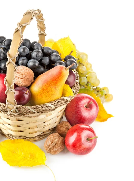 Осенние фрукты в корзинке — стоковое фото