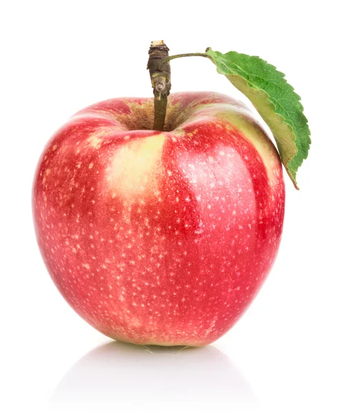 Rote Apfelfrüchte mit Blatt — Stockfoto