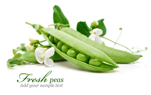 Fresh green pea in the pod with flowers — Stock Photo, Image