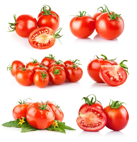 Zestaw warzyw świeżych pomidorów — Zdjęcie stockowe