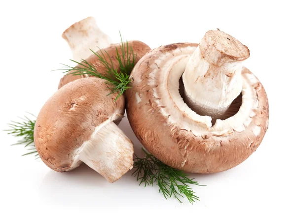 Čerstvé houby žampiony s větvičky kopru — Stock fotografie
