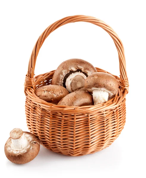 Cogumelos frescos em uma cesta — Fotografia de Stock