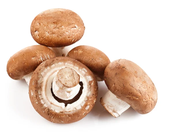 Champignon de cogumelos frescos — Fotografia de Stock