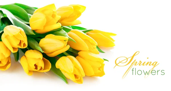 Yellow tulip flowers bouquet — Stock Photo, Image