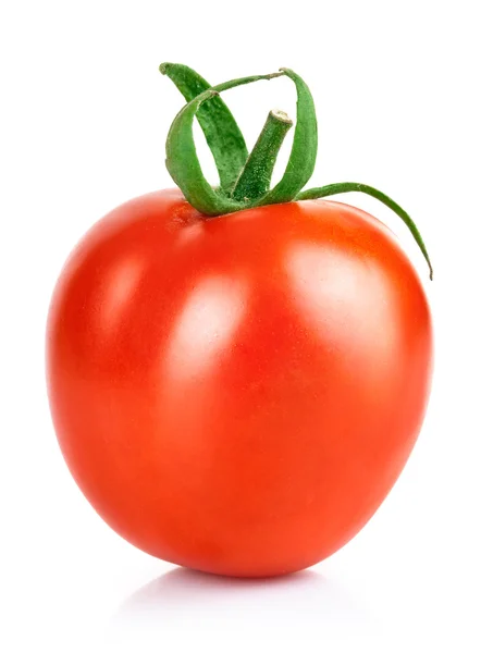 Frisches Tomatengemüse — Stockfoto