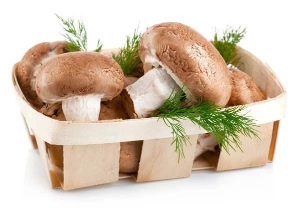 Čerstvé houby v koši s listy kopr — Stock fotografie