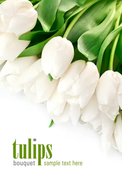Bukett med vita tulpaner med gröna blad — Stockfoto