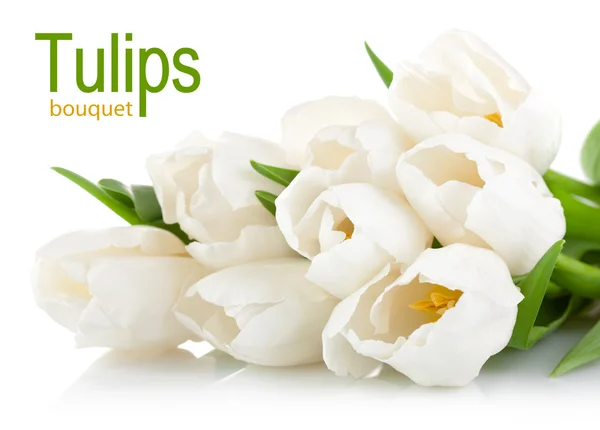 Букет білих тюльпанів з зеленим листям — стокове фото