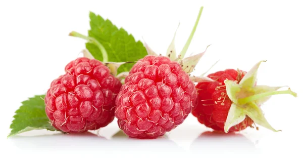 Σετ raspberry με πράσινο φύλλο — Φωτογραφία Αρχείου