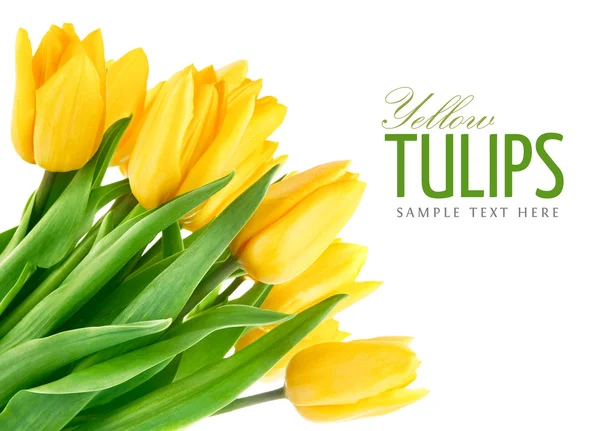 Boeket Gele tulp bloemen — Stockfoto