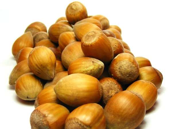 Windfall Autumn Hazelnuts — Stock Photo, Image