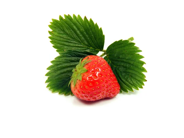 Izolované čerstvé jahody — Stock fotografie
