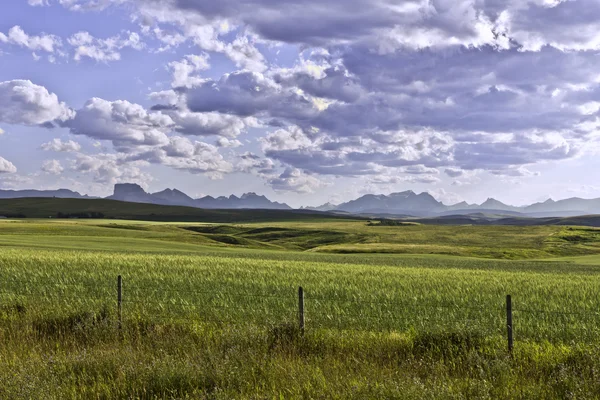 stock image American farm