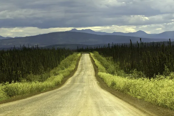 Dalton highway, alaska — Stockfoto