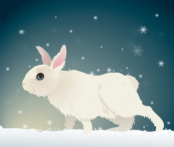 冬の自然の中でウサギ — ストックベクタ