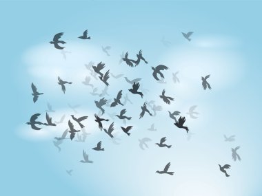 Birds background clipart