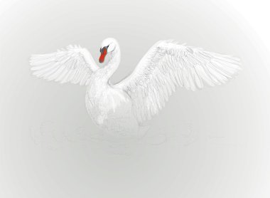 SWAN dance clipart