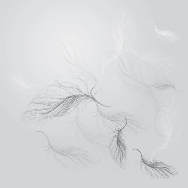 羽の背景 — ストックベクタ