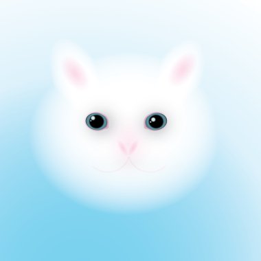 Cute white Cat clipart