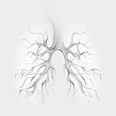 Tree like lungs clipart