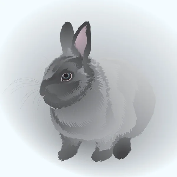 Grey Bunny — Stock Vector