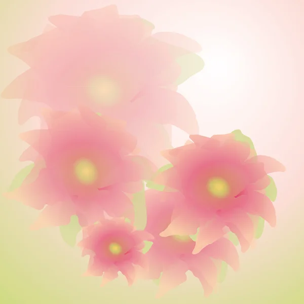 Růžové květy — Stockový vektor
