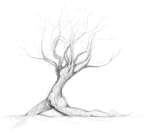 Δέντρο όπως πνεύμονες — ストックベクタ