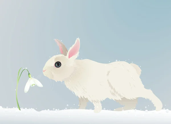 Kanin och blomma vintertid — Stock vektor