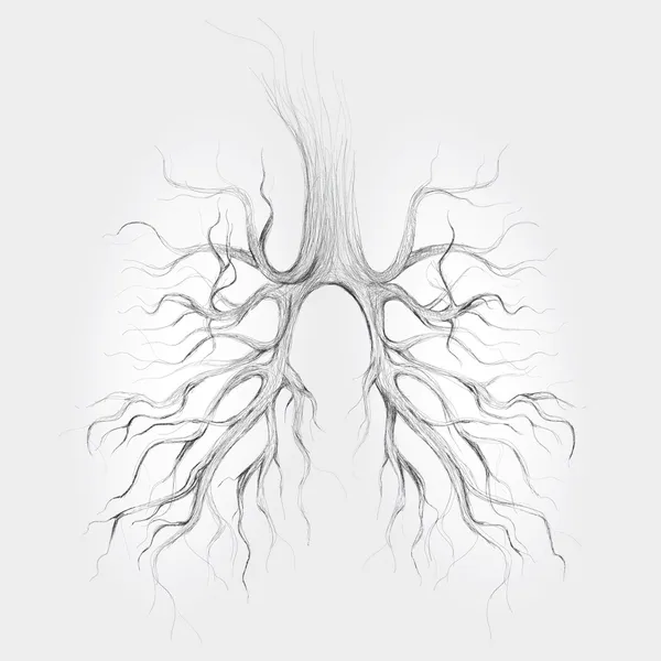 Tree like lungs Stock Illustration