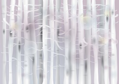 Delicate Birch forest clipart