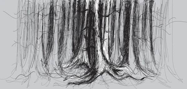 Δάσος σημύδας — Διανυσματικό Αρχείο