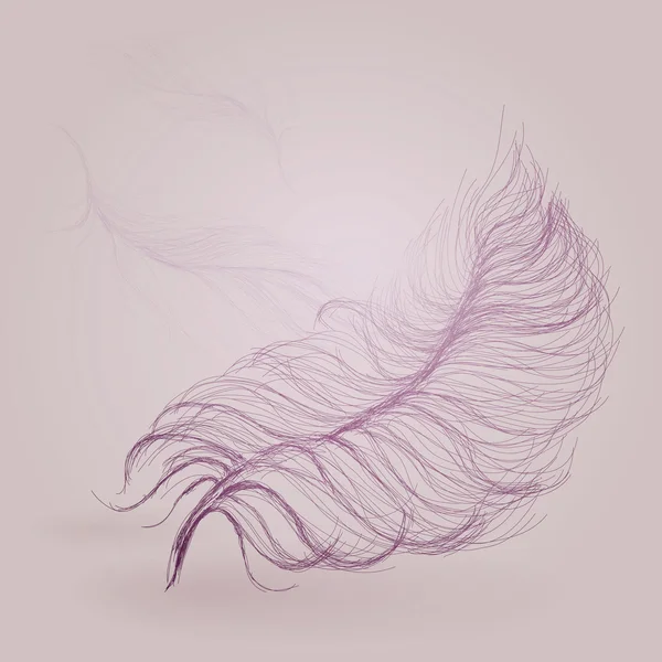 Fond de plume — Image vectorielle