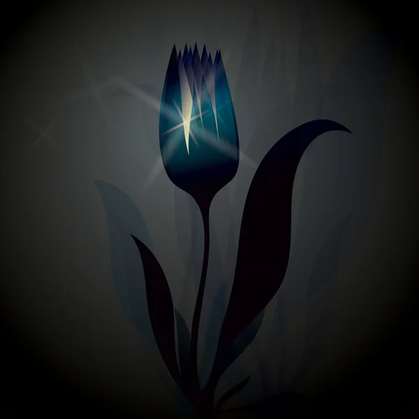 Tulipán svítí — Stockový vektor