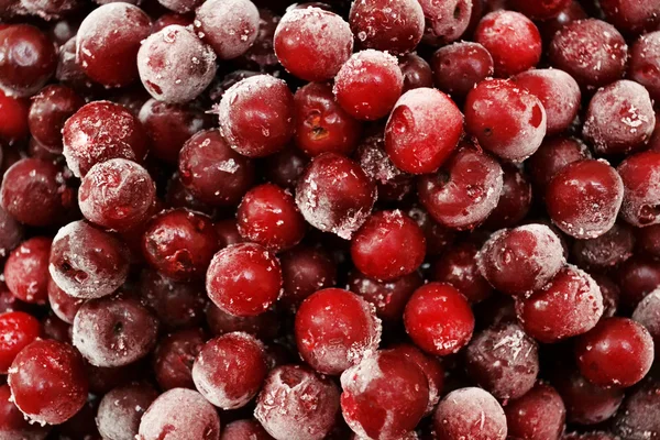 Berry cherry — Stock fotografie